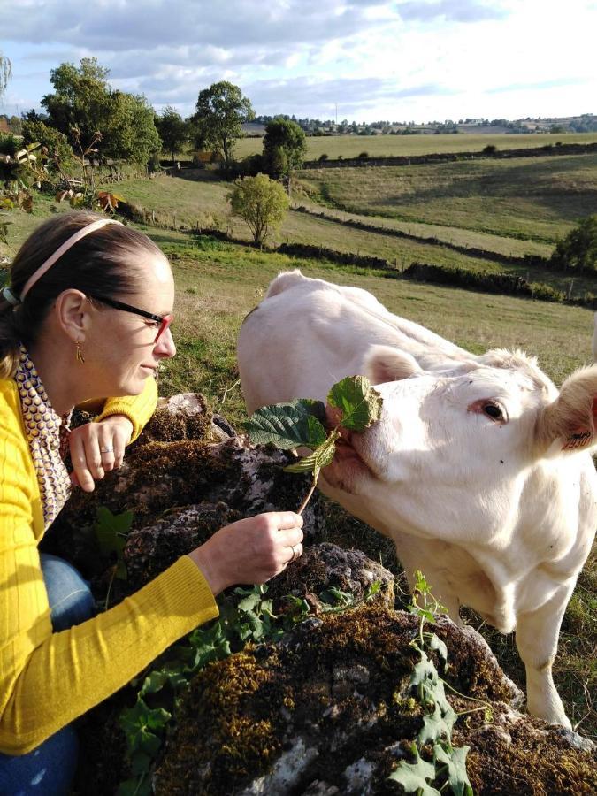La Mazille , Cossy Vakantiestudio Met Zwembad In Zuid-Bourgogne Anglure-sous-Dun Eksteriør billede